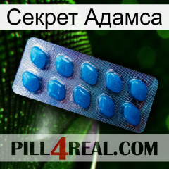 Секрет Адамса viagra1